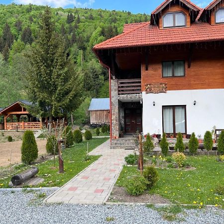 Pensiunea Pietrosul Rodnei Moisei Exterior photo