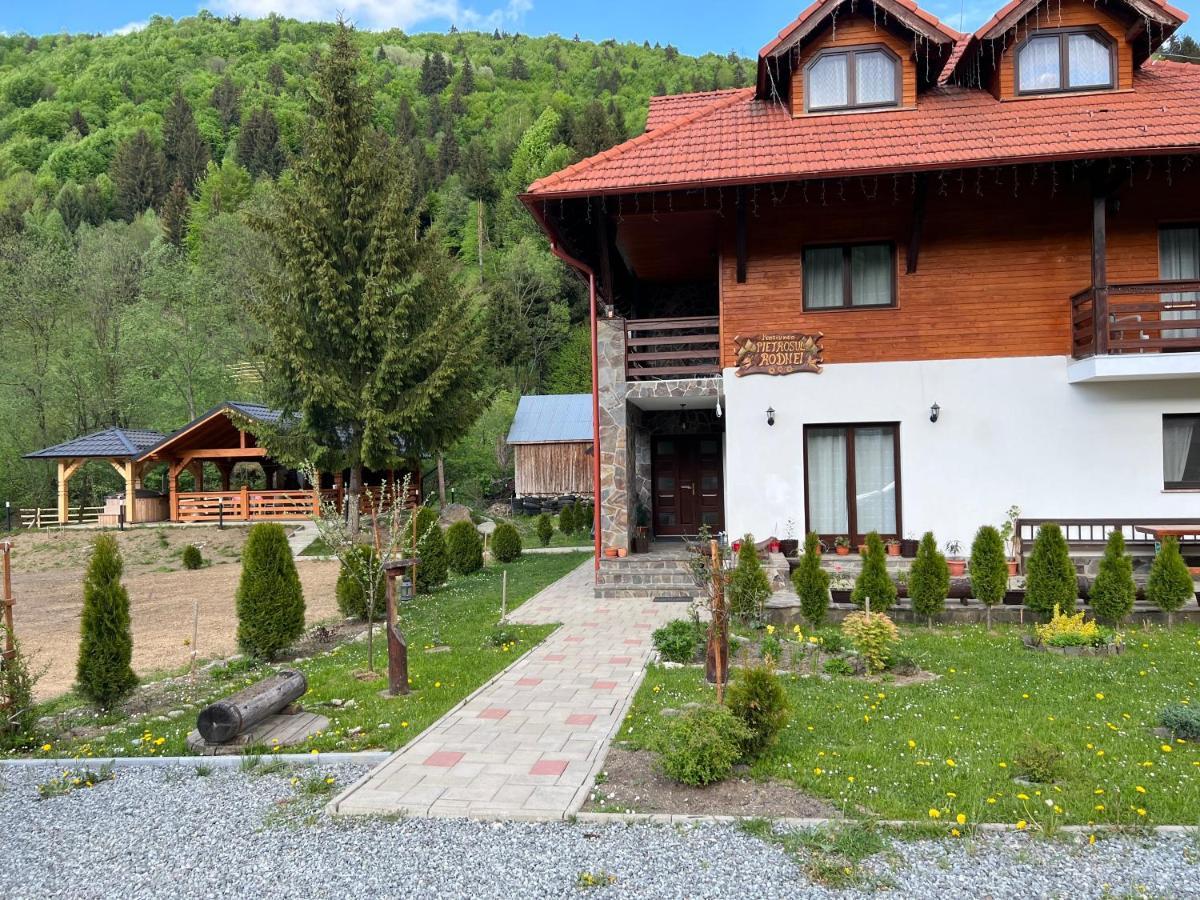 Pensiunea Pietrosul Rodnei Moisei Exterior photo